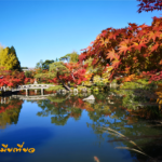 วัดไดโกจิ Daigoji Temple