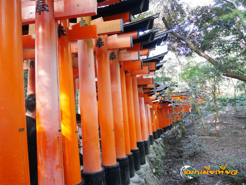 ศาลเจ้าฟูชิมิอินาริ Fushimi Inari Shrine