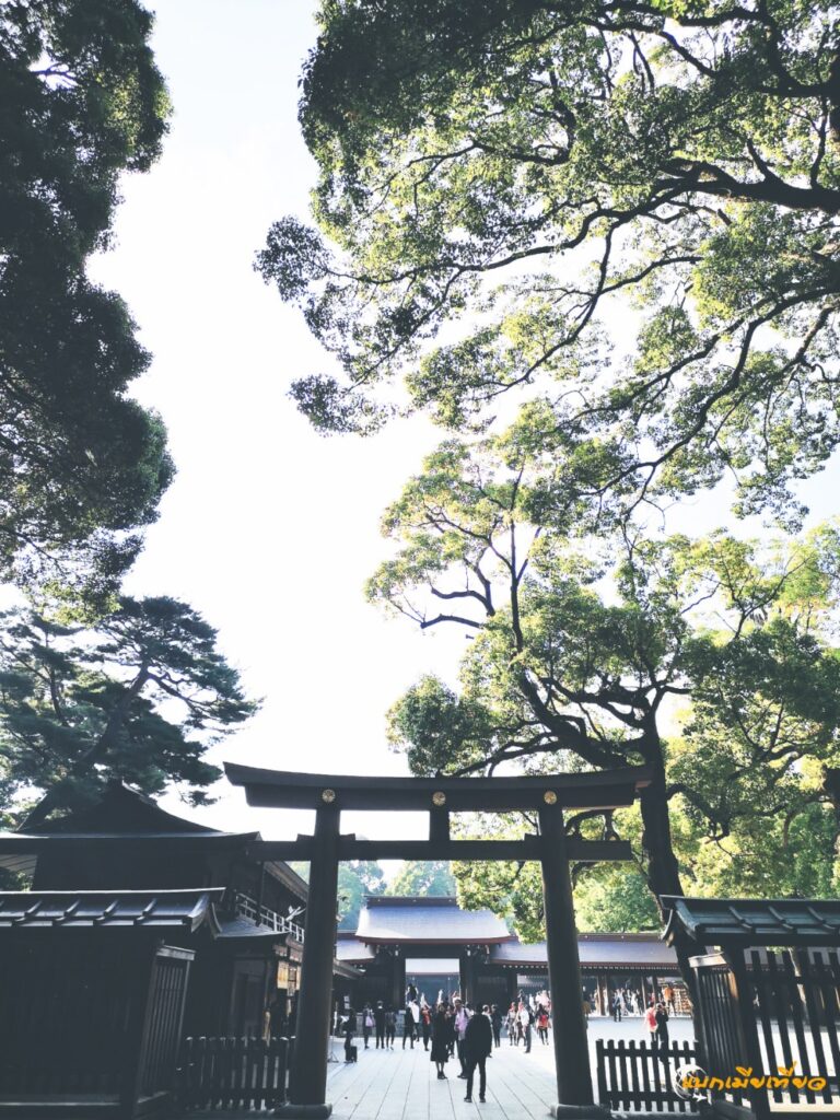 ศาลเจ้าเมจิ Meiji Shrine
