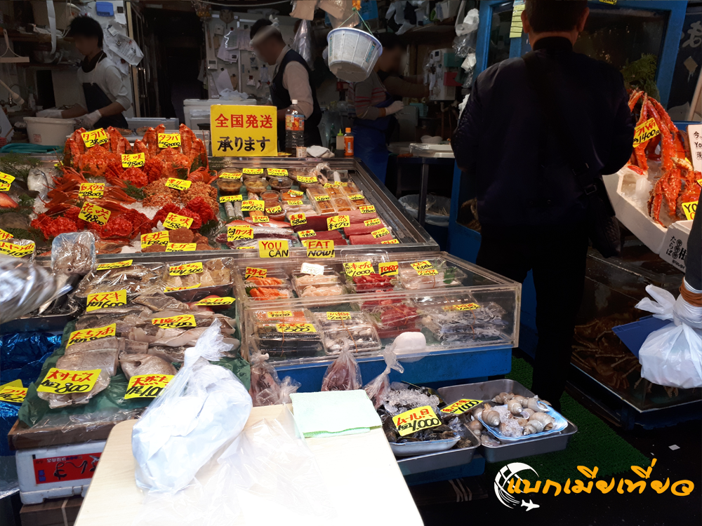ตลาดปลาซึกิจิ (tsukiji fish market)