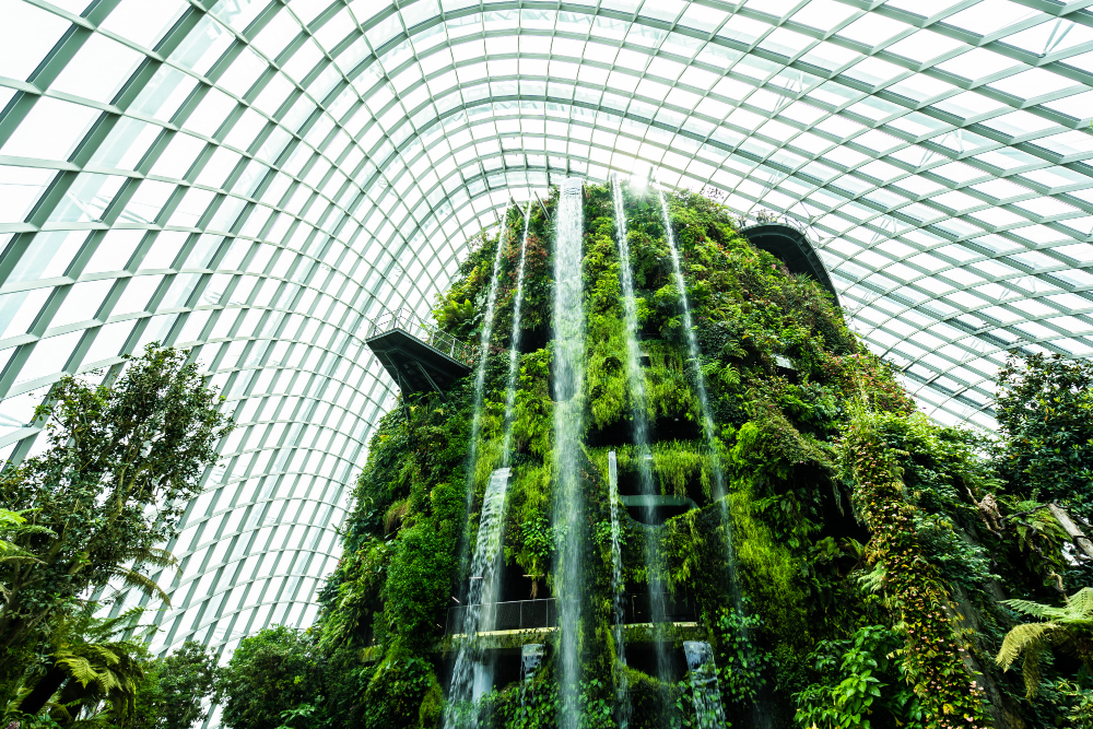 Cloud Forest garden by the bay